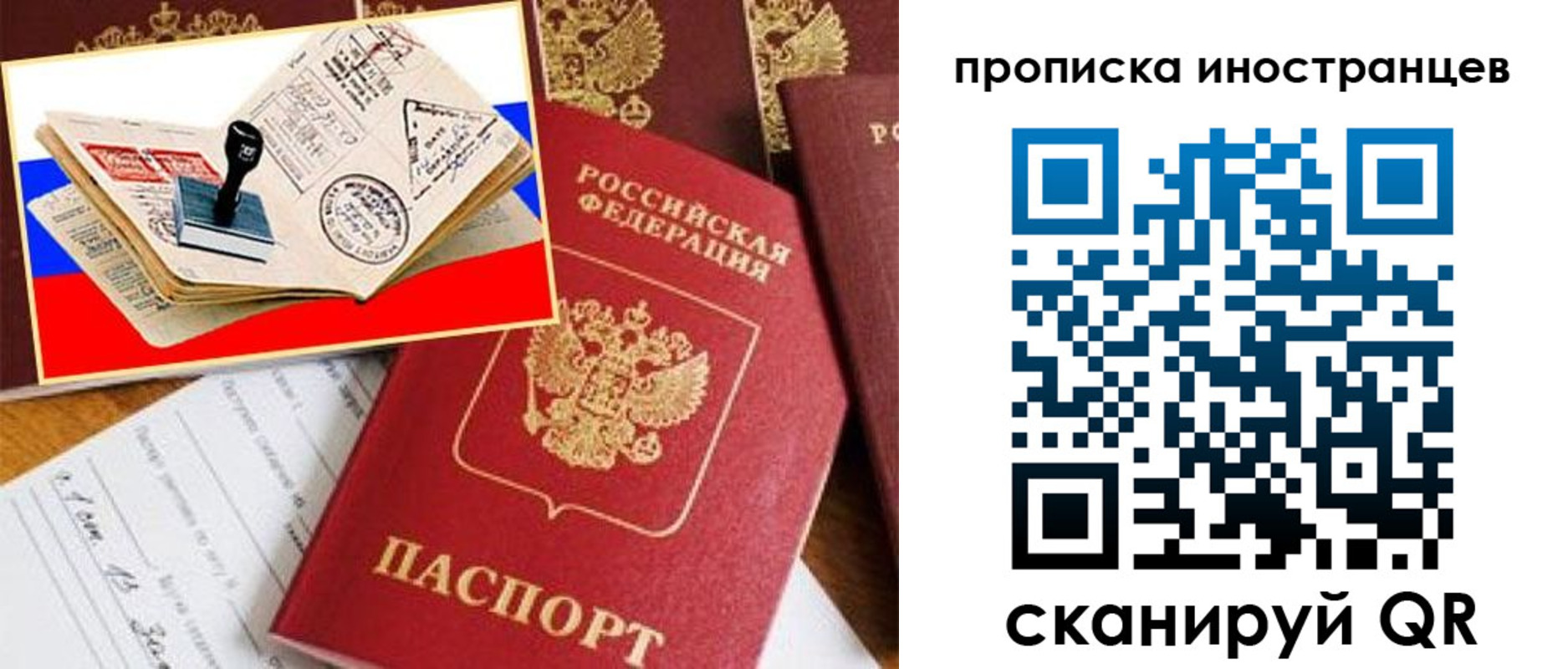 найти адрес прописки в Мурино
